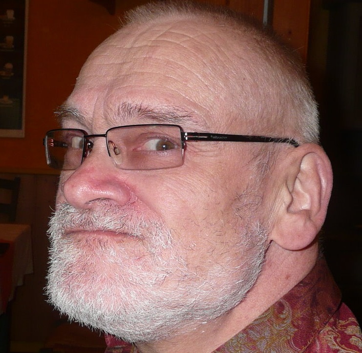 Kopf eines Mannes mit kuzen grauen Haaren, Vollbart und Brille